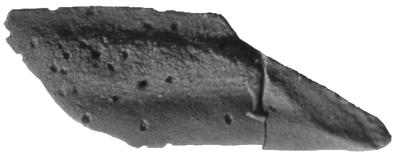 https://files.geocollections.info/large/22/b6/22b64b95-ef71-4b5b-876f-975ff7b84f00.jpg