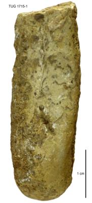 https://files.geocollections.info/large/23/17/23172c0d-1b78-4bec-9920-280dee57ad3f.jpg