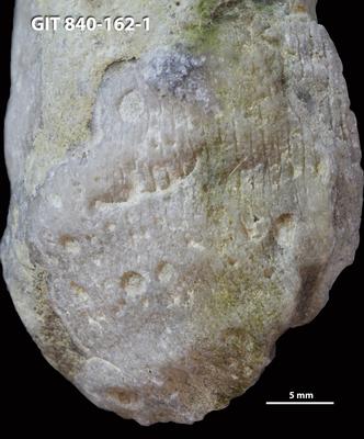 <i></i><br />Hosholm shore,  m, Pirgu Stage