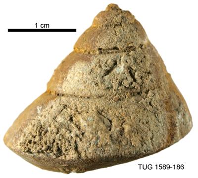 https://files.geocollections.info/large/24/50/245090be-efd6-4e3b-b67a-6002599a08c8.jpg