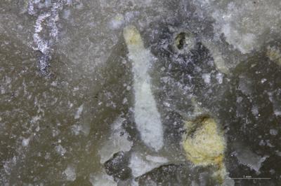 <i></i><br />Undva cliff,  m, Jaani Stage