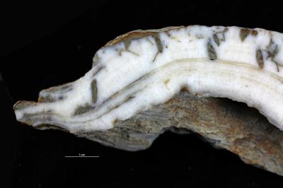 <i></i><br />Hosholm shore,  m, Pirgu Stage