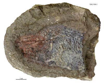 https://files.geocollections.info/large/25/c4/25c4b3da-e151-46ea-8185-4f506d6083d5.jpg