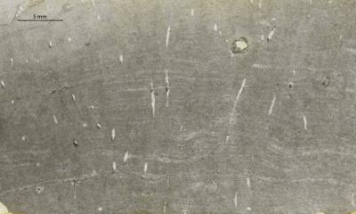 https://files.geocollections.info/large/25/df/25df77cd-f095-4c74-b2e8-45c6055b86d7.jpg