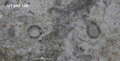 https://files.geocollections.info/large/25/ee/25ee184d-b890-4877-9b4b-084b6dd80143.jpg