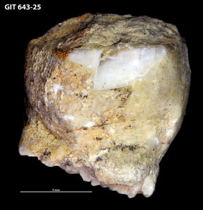https://files.geocollections.info/large/26/2b/262bd7a9-9e6d-4e76-afec-89bb75d997aa.jpg