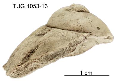 https://files.geocollections.info/large/26/34/2634f9b8-9a6c-463d-a2ea-89fb8f13e65d.jpg