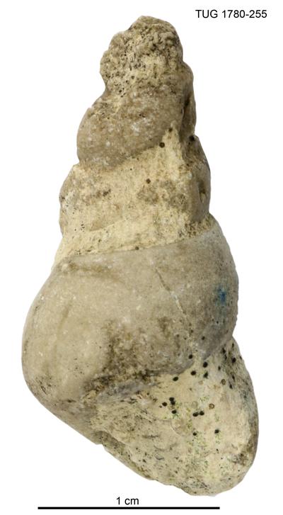 https://files.geocollections.info/large/26/43/2643ce69-3b3c-4987-8526-6475e587a370.jpg