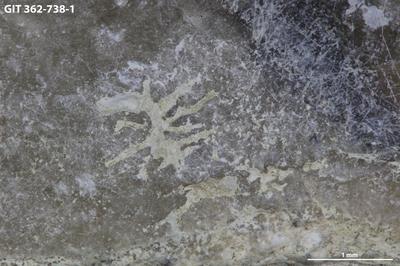 <i></i><br />Harku quarry,  m, Kunda Stage