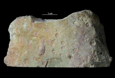 <i></i><br />Syass River, Rebrovo, Leningrad District,  m, Volkhov Stage