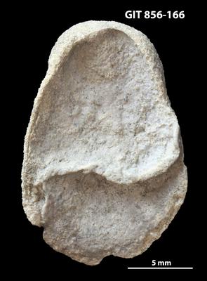 https://files.geocollections.info/large/26/d3/26d3c4a2-fce3-48ba-9a7e-ed78ffab7826.jpg