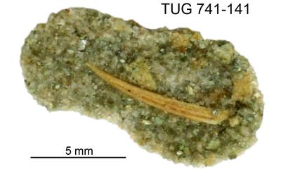 https://files.geocollections.info/large/27/28/2728ed95-1bc2-4836-a740-4fd4afa7bc52.jpg