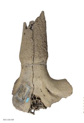 https://files.geocollections.info/large/27/9a/279a2c38-2a4d-4660-8918-300b66c92760.jpg