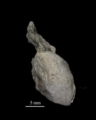 https://files.geocollections.info/large/27/e8/27e80531-a760-4065-b11f-63ff65dd4c28.jpg
