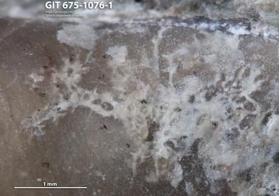 <i></i><br />Kaagvere 1 borehole, 293.00 m, Idavere Substage