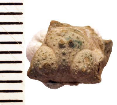 https://files.geocollections.info/large/28/0a/280a9200-73f1-4ff7-a3ef-38bb5a8c9a64.jpg