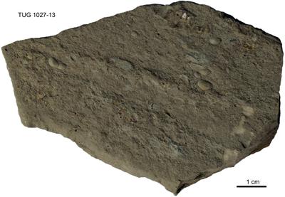 https://files.geocollections.info/large/28/69/286923c9-1e20-4735-bc8b-f96fc7314e82.jpg