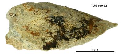 https://files.geocollections.info/large/28/bf/28bfa197-524b-4241-85c3-583e4562d353.jpg