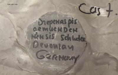 https://files.geocollections.info/large/28/ca/28caad38-fd11-4fa4-9e29-afc97769e61e.jpg