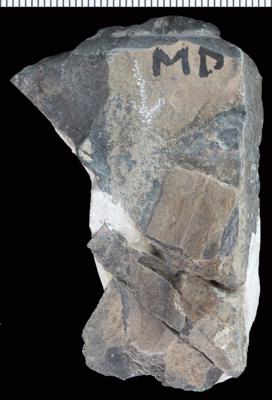 https://files.geocollections.info/large/2a/13/2a13047a-5f70-46b4-a061-a111ab58f0f9.jpg