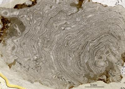 https://files.geocollections.info/large/2a/50/2a5057cc-302f-4705-897c-e426c6493bce.jpg
