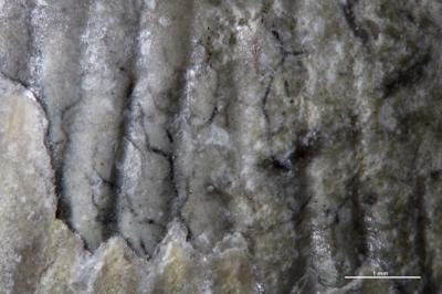 https://files.geocollections.info/large/2a/96/2a964818-80df-4532-82c1-b5b9c2cf95af.jpg