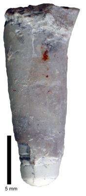 https://files.geocollections.info/large/2b/82/2b82360f-dc25-4c4b-8024-93d8b4379921.jpg
