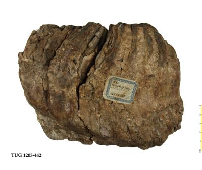 https://files.geocollections.info/large/2c/07/2c07b794-7460-470a-bcd1-bd826d8e8e7c.jpg