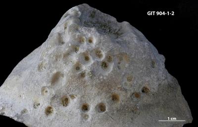 <i></i><br />Rööpli Cliff, Kõinastu,  m, Adavere Stage