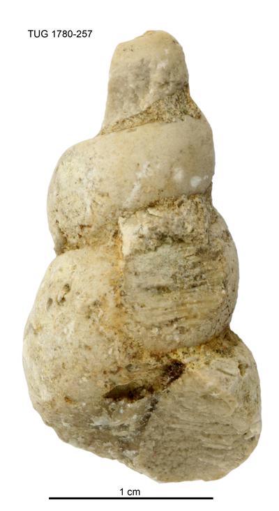 https://files.geocollections.info/large/2c/66/2c669fc2-9f2a-4d49-bb53-d2fb13ae202a.jpg