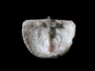 https://files.geocollections.info/large/2c/a3/2ca310be-fdd7-4c6a-b46c-710b3df11e10.jpg