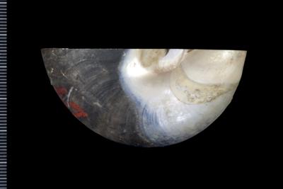 https://files.geocollections.info/large/2c/c7/2cc73fe4-1cad-45c0-a796-bac303b47d45.jpg