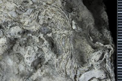 https://files.geocollections.info/large/2c/ee/2cee4148-12ae-41ab-ad45-0b0521dcf359.jpg