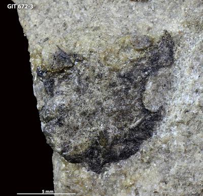 https://files.geocollections.info/large/2d/58/2d5866a8-5903-4315-a20d-84c589a56e5e.jpg