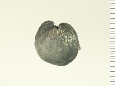 https://files.geocollections.info/large/2d/d1/2dd1f3dc-e996-40a7-a84f-b00e350c1680.jpg