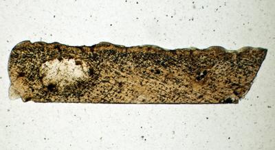 https://files.geocollections.info/large/2d/e4/2de46b3a-8f19-4593-8da4-698d24ade124.jpg