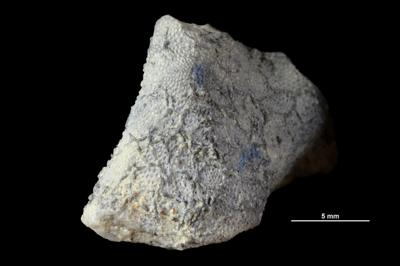 https://files.geocollections.info/large/2e/03/2e03ad7c-8702-46af-94ed-77dc25997d08.jpg
