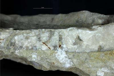 <i></i><br />Saxby shore,  m, Vormsi Stage