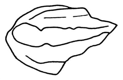 https://files.geocollections.info/large/2f/16/2f16d41d-7a4c-4b64-a2f9-a3ca55f00b5f.jpg