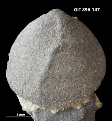 https://files.geocollections.info/large/2f/3b/2f3b90d6-4874-42fe-a6c8-657beaba8fa6.jpg