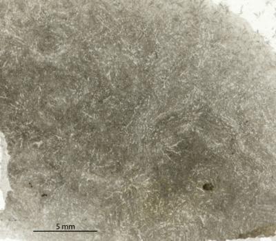 https://files.geocollections.info/large/2f/3c/2f3cfa19-a64b-4e14-86e9-dedfe597659e.jpg