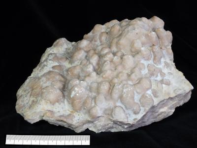 https://files.geocollections.info/large/2f/85/2f8538ce-fdc8-4dff-bfb5-95d8bf779938.jpg