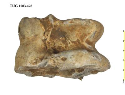 https://files.geocollections.info/large/2f/97/2f9753cf-a7b5-4388-a25f-592d00c76fff.jpg