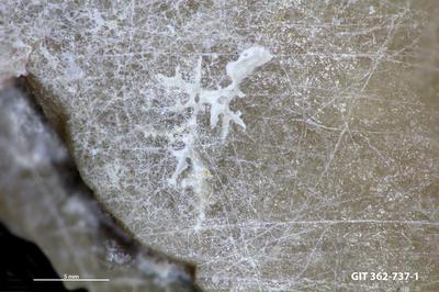 <i></i><br />Harku quarry,  m, Kunda Stage