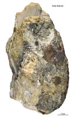 https://files.geocollections.info/large/2f/df/2fdfe34f-49dd-48df-8151-7361b11a18f1.jpg