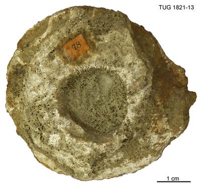https://files.geocollections.info/large/30/50/305025f7-b328-4fbc-81aa-d83066a0eb22.jpg