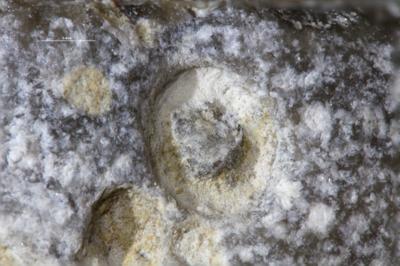 <i></i><br />Suuriku cliff,  m, Jaani Stage