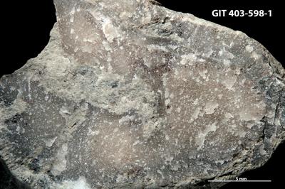 <i></i><br />Ohesaare cliff,  m, Ohesaare Stage