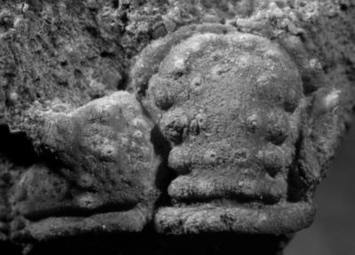 https://files.geocollections.info/large/31/58/315804ae-a698-485a-ba6c-e4e64c7d4412.jpg