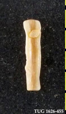 https://files.geocollections.info/large/31/c8/31c8c391-07a4-4ba9-87f7-8904ef0501da.jpg
